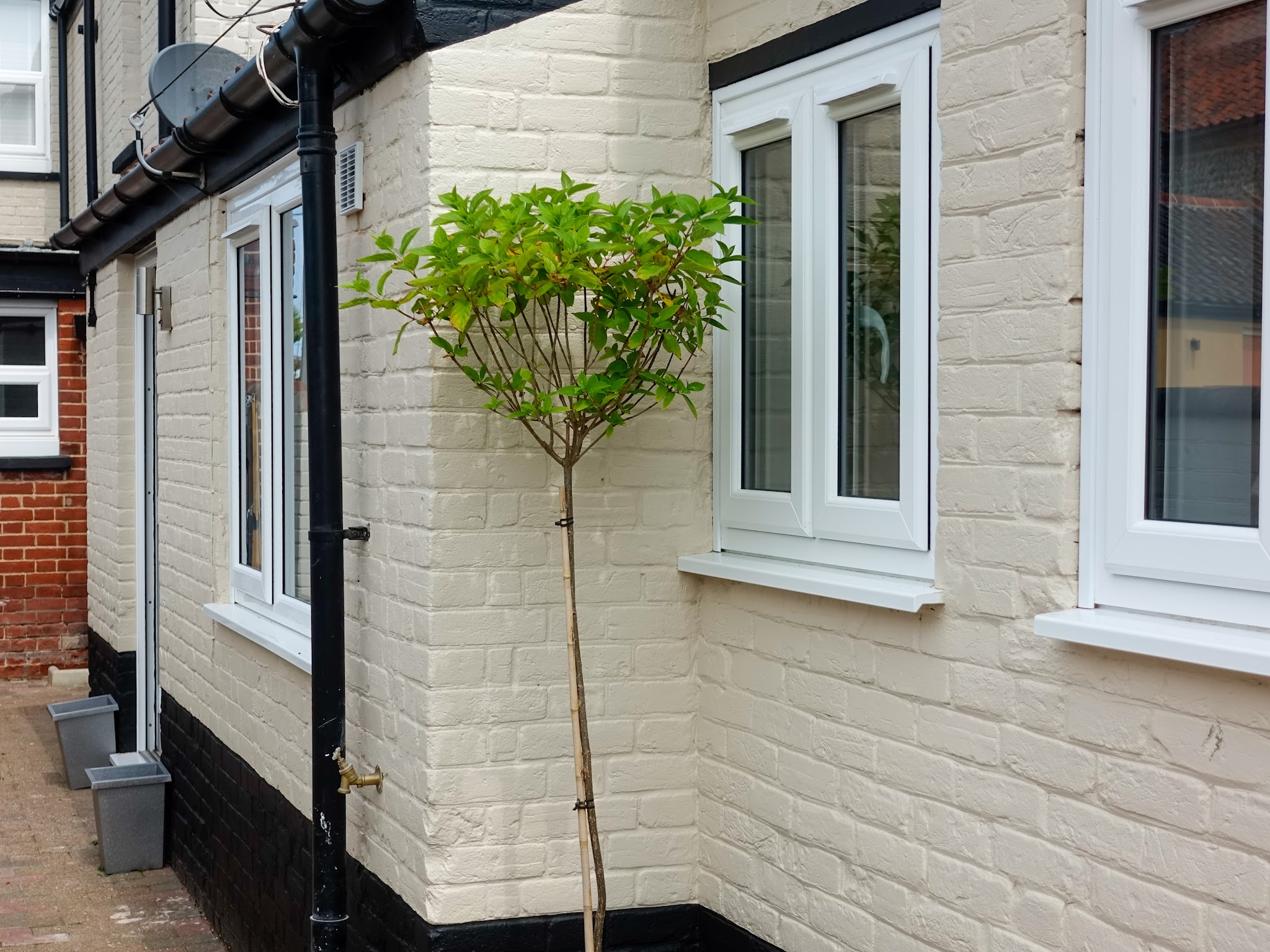 Painted white brick exterior with a black plinth and white windows
